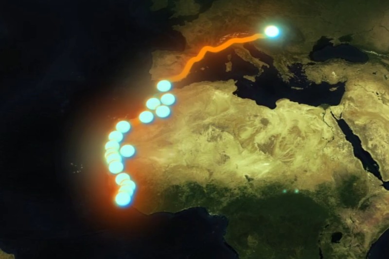 2026 Budapest-Bamako Rally&nbsp;route