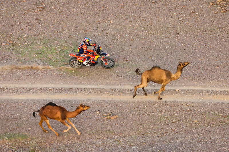 KTM can’t keep waiting for 2027 Dakar decision